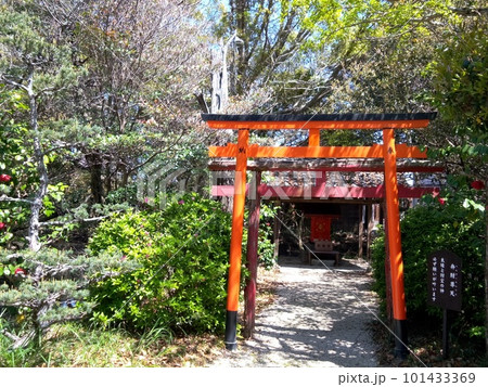 野間大坊　本殿　鐘楼堂　巡拝路　大門　悠紀殿 101433369