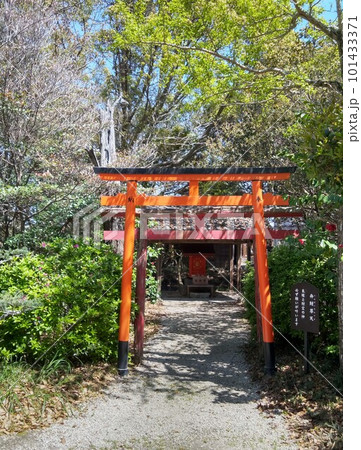 野間大坊 本殿 鐘楼堂 巡拝路 大門 悠紀殿 野間大坊 本殿 鐘楼堂 巡拝路 大門 悠紀殿 101433371