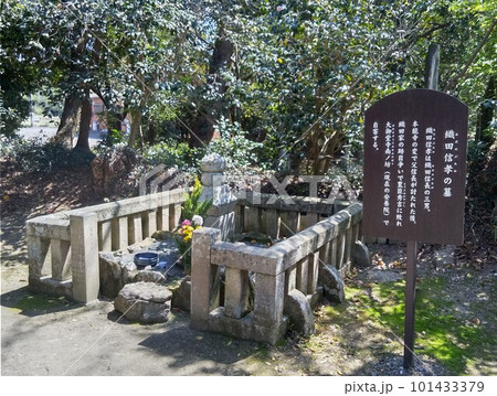 野間大坊 本殿 鐘楼堂 巡拝路 大門 悠紀殿 野間大坊 本殿 鐘楼堂 巡拝路 大門 悠紀殿 101433379