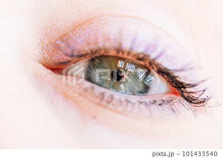 Beautiful gray-blue eyes with long lashes. Young woman, a girl is looking directly in camera. Visual gymnastics for improving vision. Female look down. Beautiful mauve makeup, eyeshadow with shimmer. 101433540