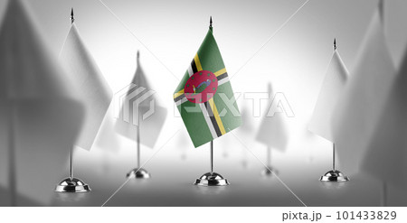 The national flag of the Dominica surrounded by white flags 101433829