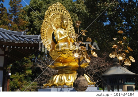 久米寺の風景 101434194