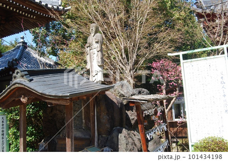 久米寺の風景 久米寺の風景 101434198