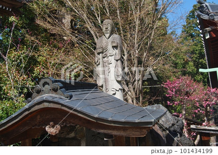 久米寺の風景 久米寺の風景 101434199