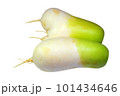 fresh radish 101434646