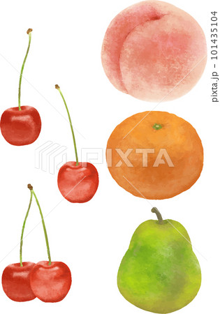 果物のイラストセット 果物のイラストセット 101435104