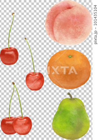 果物のイラストセット 果物のイラストセット 101435104