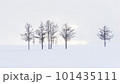 winter 101435111