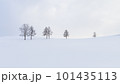 winter 101435113