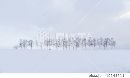 winter winter 101435114