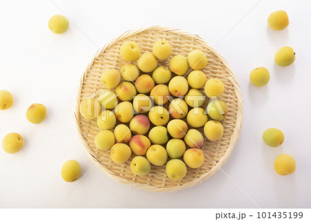ざるに盛られた梅の実 ざるに盛られた梅の実 101435199