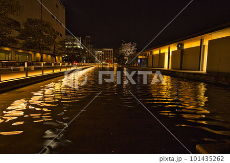 福井県庁お堀の夜桜 101435262