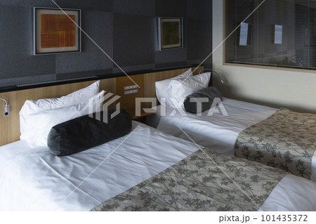 modern interior of the hotel modern interior of the hotel 101435372
