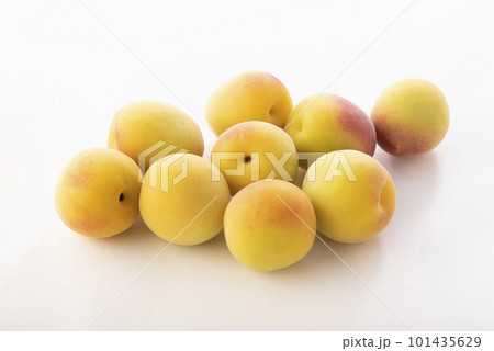 南高梅　白バック 101435629