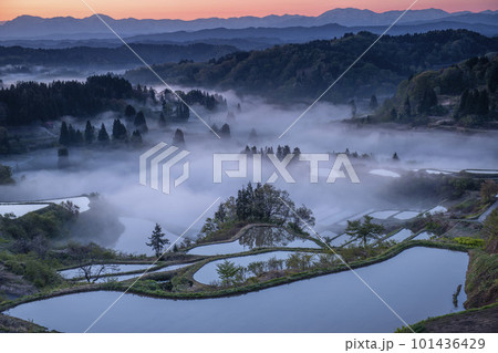 霧に佇む棚田の風景 101436429