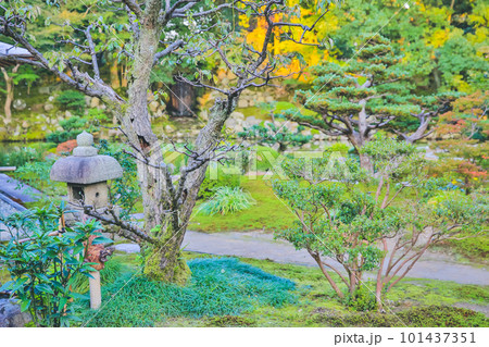 a Kasumiga ike Pond Kenrokuen Kana zawa 1 Nov 2013 101437351