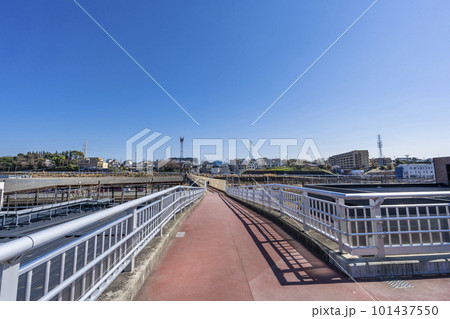 相鉄・JR線「羽沢横浜国大」駅前の羽沢跨線人道橋(2023年3月) 相鉄・JR線「羽沢横浜国大」駅前の羽沢跨線人道橋(2023年3月) 101437550