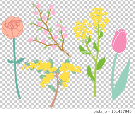 Spring flower set 101437940