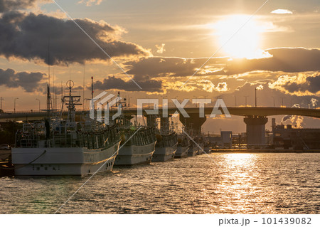 「青森県」八戸港に停泊するイカ釣り漁船と夕日 101439082