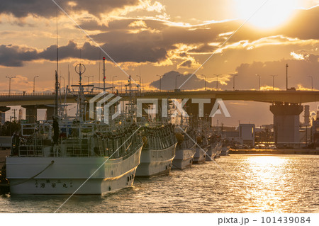 「青森県」八戸港に停泊するイカ釣り漁船と夕日 101439084