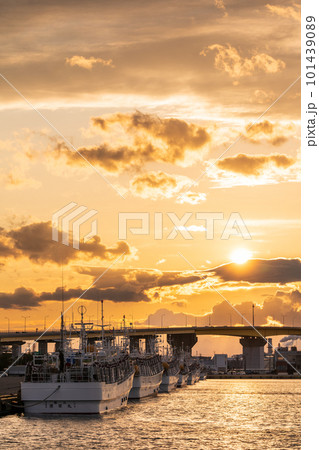 「青森県」八戸港に停泊するイカ釣り漁船と夕日 「青森県」八戸港に停泊するイカ釣り漁船と夕日 101439089