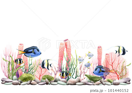 Banner, border with sea creatures as corals, fishes. Watercolor illustration isolated on white for clip art, package 101440152