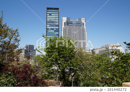 なんばスカイオ　スイスホテル 南海 大阪　高層ビル 101440272