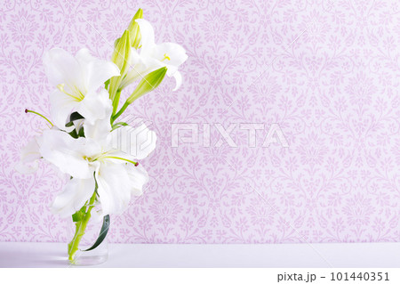 白いユリ（カサブランカ）と紫のおしゃれな壁紙 101440351