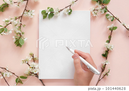 Blank greeting card, invitation mockup. Hand with pen. Apple flowers blossoming plant on pink table background. Top view. Copyspace. Canvas mock up. Modern Minimal business brand template. Soft shadow Blank greeting card, invitation mockup. Hand with pen. Apple flowers blossoming plant on pink table background. Top view. Copyspace. Canvas mock up. Modern Minimal business brand template. Soft shadow 101440628
