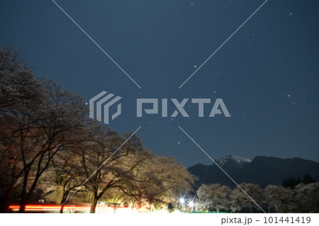 北杜市武川町、月光が照らす真原(さねばら)の桜並木と星空、左からシリウス、オリオン座、アルデバラン 北杜市武川町、月光が照らす真原(さねばら)の桜並木と星空、左からシリウス、オリオン座、アルデバラン 101441419