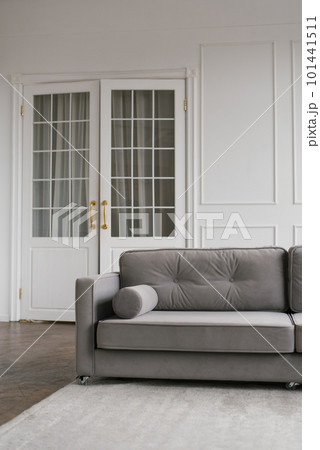 Gray modern sofa in the interior of a cozy living room Gray modern sofa in the interior of a cozy living room 101441511