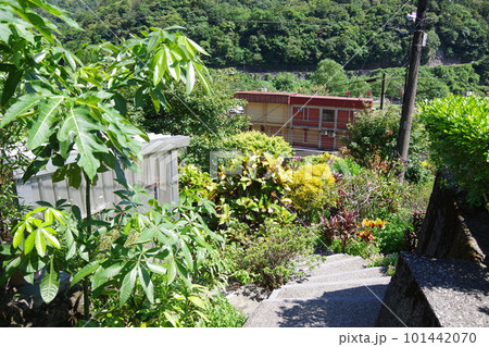 台湾 猴硐貓村の風景 台湾 猴硐貓村の風景 101442070