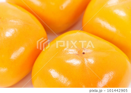 四角い柿　秋の味覚　4個　明るい背景 101442905