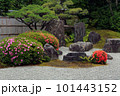 大徳寺興臨院のサツキ咲く庭園 101443152