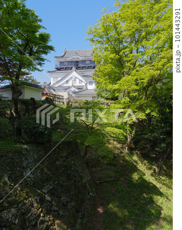 岡崎城天守と清海堀 岡崎城天守と清海堀 101443291