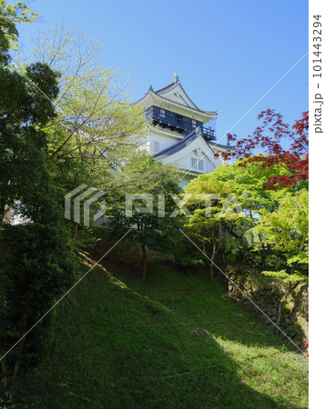 岡崎城天守と清海堀 101443294