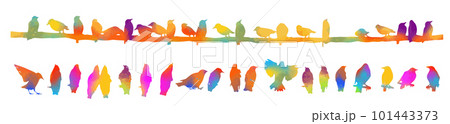 Birds on a wire. Silhouettes of colorful sitting starlings. Birds set . Vector illustration 101443373