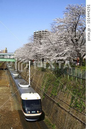 満開の桜の横を走る 中央西線 特急ワイドビューしなの号 101444291