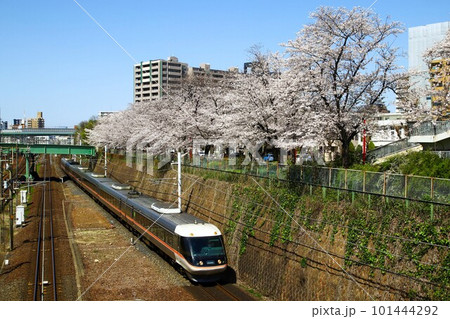 桜並木を行く中央西線 特急ワイドビューしなの号 桜並木を行く中央西線 特急ワイドビューしなの号 101444292