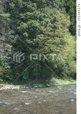 富山県富山市婦中町上瀬地区を流れる山田川の様子 富山県富山市婦中町上瀬地区を流れる山田川の様子 101444374