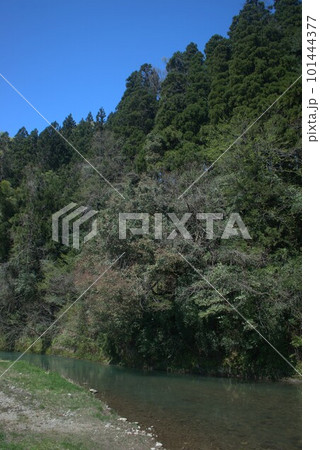 富山県富山市婦中町上瀬地区を流れる山田川の様子 101444377