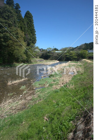 富山県富山市婦中町上瀬地区を流れる山田川の様子 101444381