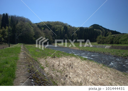 富山県富山市婦中町上瀬地区を流れる山田川の様子 101444431