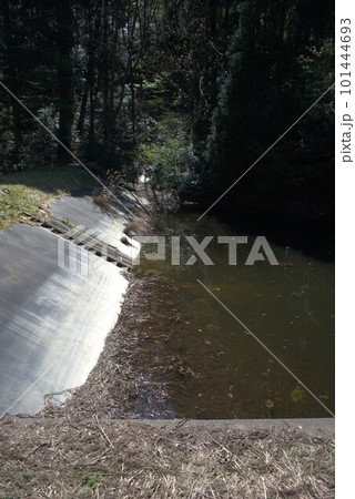 富山県富山市婦中町千里地区の山中 富山県富山市婦中町千里地区の山中 101444693