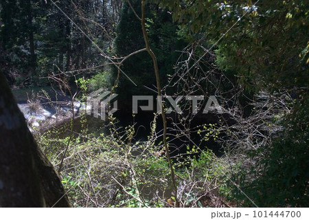 富山県富山市婦中町千里地区の山中 富山県富山市婦中町千里地区の山中 101444700