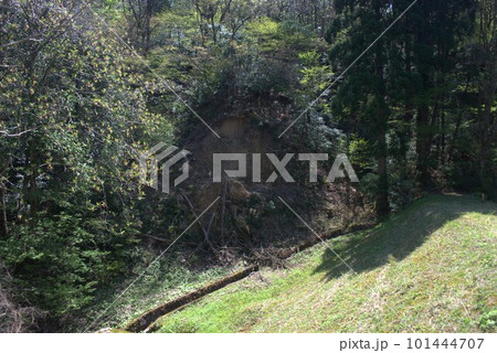 富山県富山市婦中町千里地区の山中 101444707
