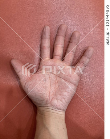 ますかけ線のある手相 101444895
