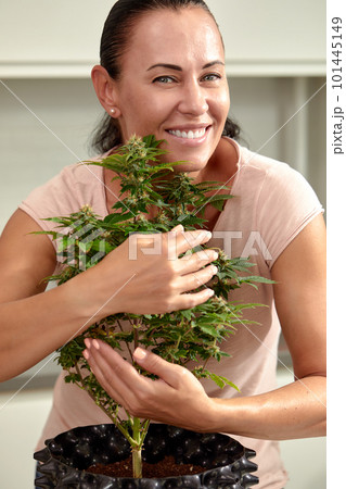 Smiling woman with cannabis bush, woman growing cannabis bush at home, caring, growing and caring for cannabis bushes while growing at home. Smiling woman with cannabis bush, woman growing cannabis bush at home, caring, growing and caring for cannabis bushes while growing at home. 101445149