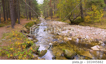 Eresma River, Sierra de Guadarrama National Park, Spain 101445662