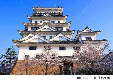 【広島県】満開の桜と復興後の福山城 【広島県】満開の桜と復興後の福山城 101445946